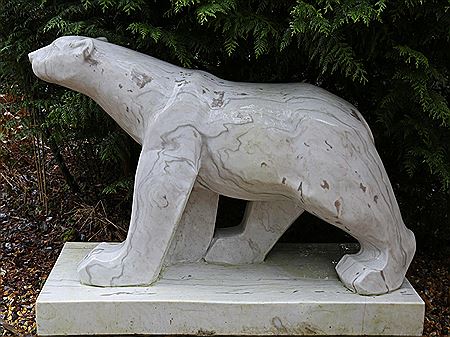 Polar Bear