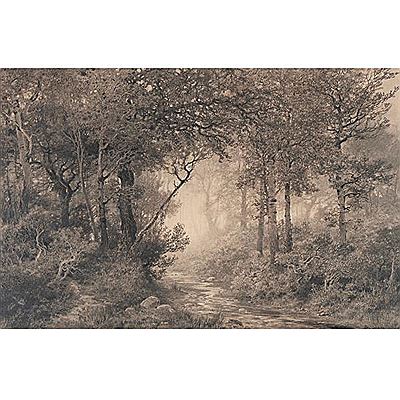Sample artwork by Jaime Pahissa Laporta (1846 - 1928), known for painting - View similar artists and auction records