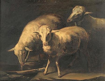 Ovejas