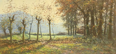 "Paisaje de La Moixina"