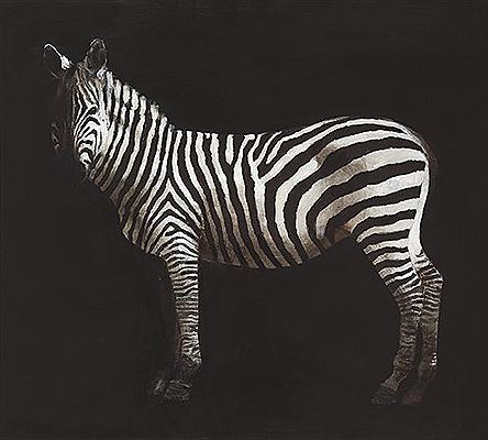 Sample artwork by Miguel Macaya (Born 1964), known for still life, animal, and portrait painting - View similar artists and auction records