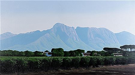 EXPANSIVE LANDSCAPE WITH HOUSES AND VINEYARD