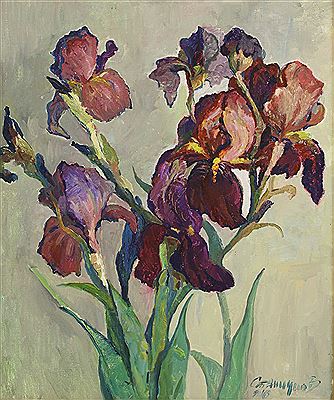 IRISES