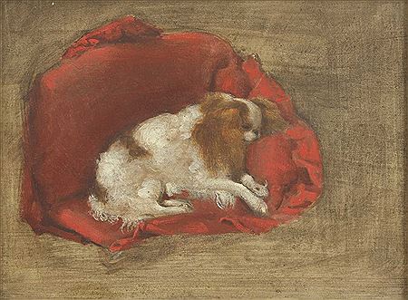 Red and white toy spaniel sleeping on a red cushion
