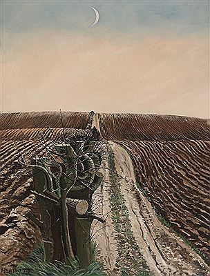 'The Hedge'