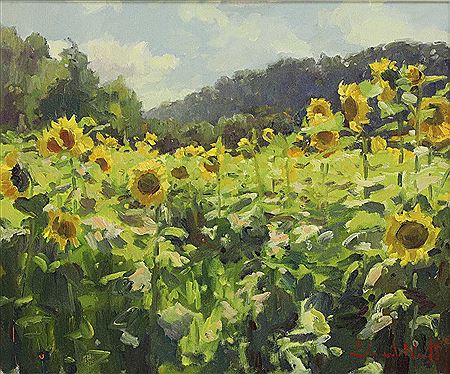 'A Sunny Crop'