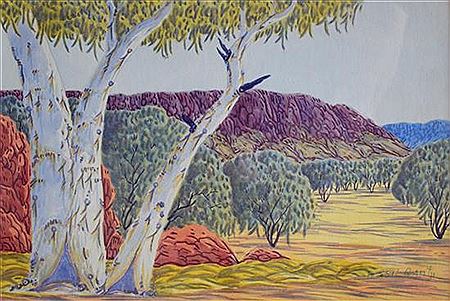 Ghost Gum, MacDonnell Ranges