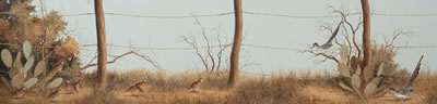 Roadrunners & Quail on Fenceline