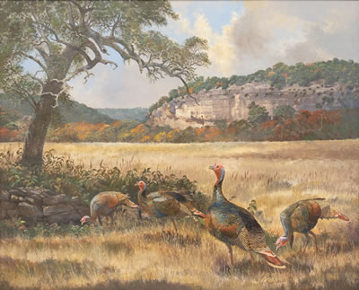 Hill Country Toms