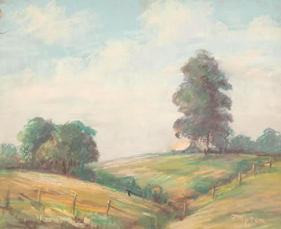 Rolling Hills Landscape