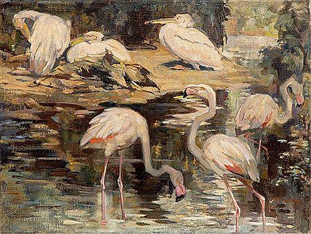 Pelicans and flamingos near the water