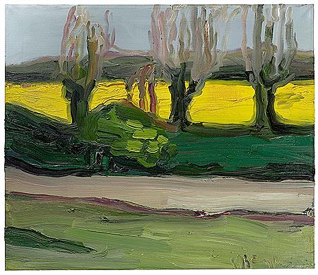 Colza Field