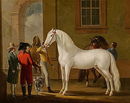 Grey Stallion, Kept by the Groom