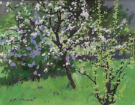 Flowering orchard