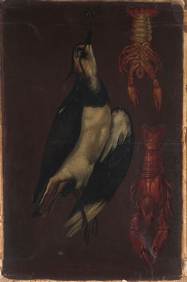 Still life with marsh bird and two prawns