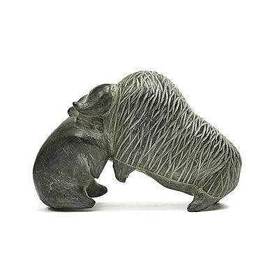 BEAR ATTACKING MUSK OX