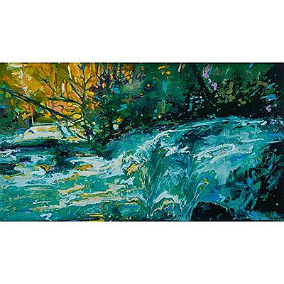 RAPIDS by Steve Driscoll - Auction record, sale price, and art valuation. Compare with similar artists and explore comparable artworks.