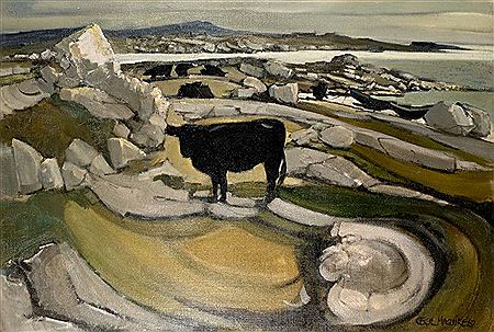 CONNEMARA LANDSCAPE