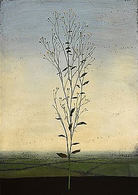 EXPOSITION, 2007
