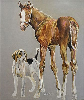 Beagle and Colt