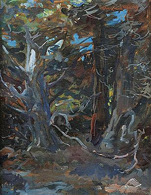 Interior Woods