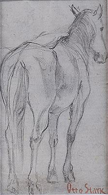 Study of Horse