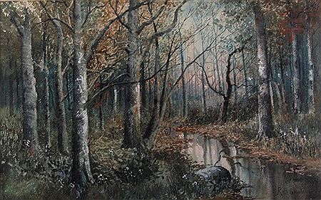 Interior Woods