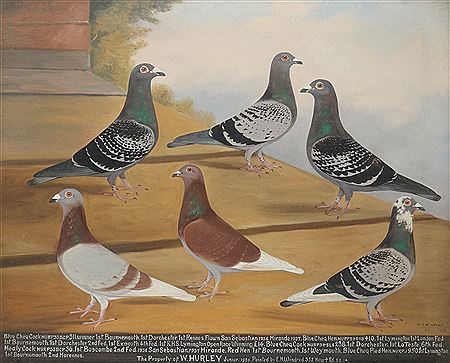 Artwork by Edward Henry Windred
