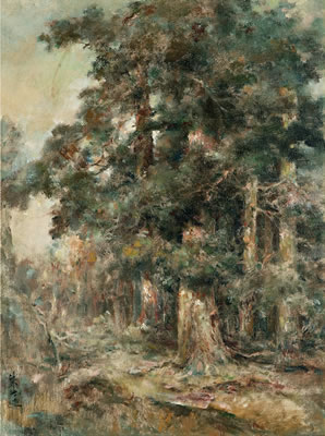 Forest in the Morning