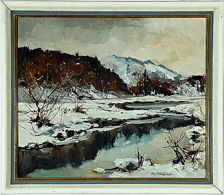 Winterliche Moorlandschaft