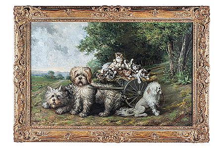 DOGS & KITTENS