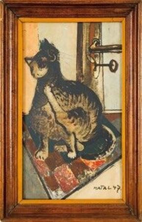 Cat by the window