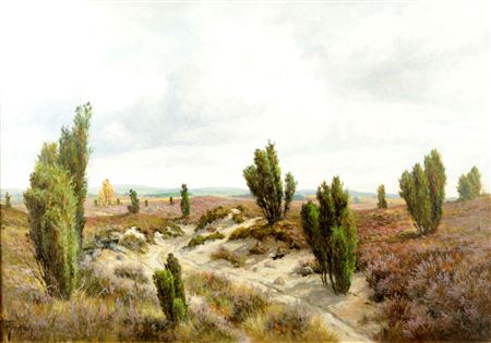 Heidelandschaft