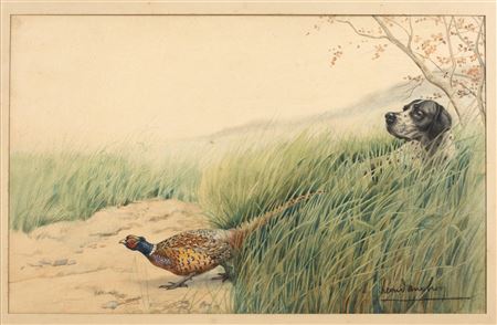 Dog and pheasant