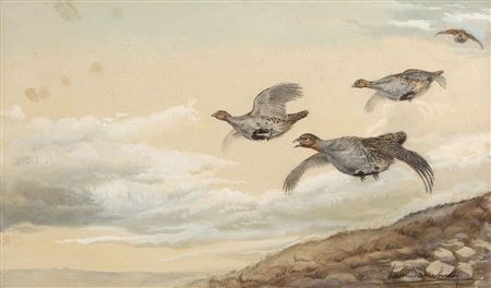 Partridge in flight by Leon Danchin - Auction record, sale price, and art valuation. Compare with similar artists and explore comparable artworks.
