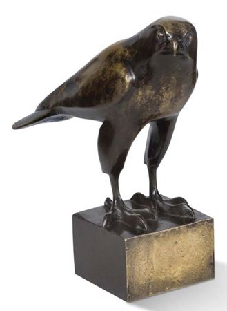 The peregrine falcon