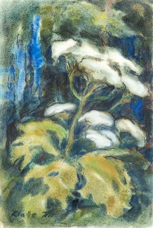 Wild carrot in front of delphinium