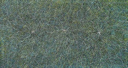 "Bush Seeds"