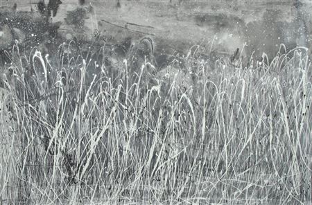 "Early morning fields"
