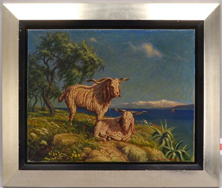 'Bergschafe in mediterraner Landschaft'