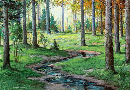 Creek in the summer fir forest.