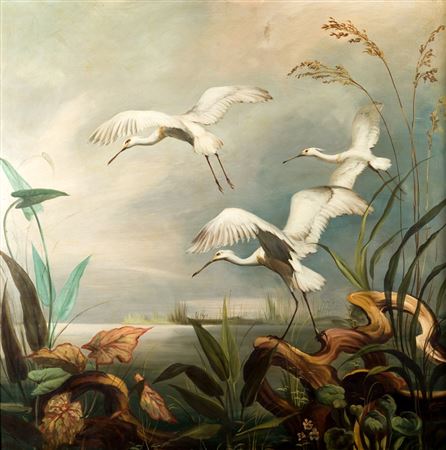"GARZAS EN LA LAGUNA"