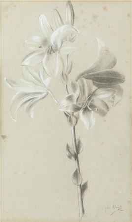 "FLOR"