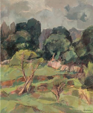 Meadows