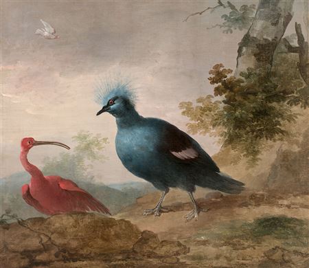 Pintade de Numidie et caïque à tête noire et Ibis rouge et goura couronné by Aert (Aart) Schouman - Auction record, sale price, and art valuation. Compare with similar artists and explore comparable artworks.