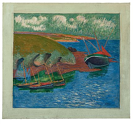 Sardines on the rocky coast