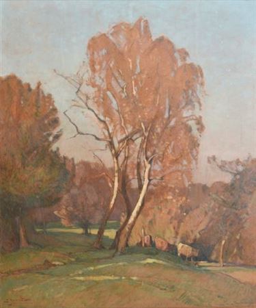 Paysage d’automne aux grands arbres