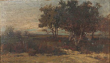 Summer landscape