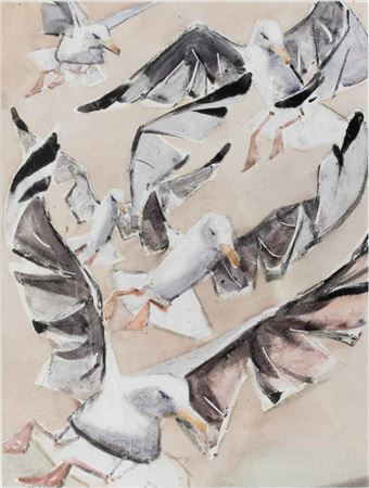 Seagulls