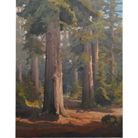 'Redwoods'
